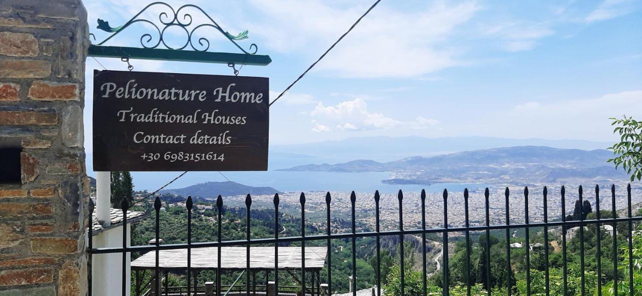 Pelionature Maizonette Makrinitsa Exterior photo
